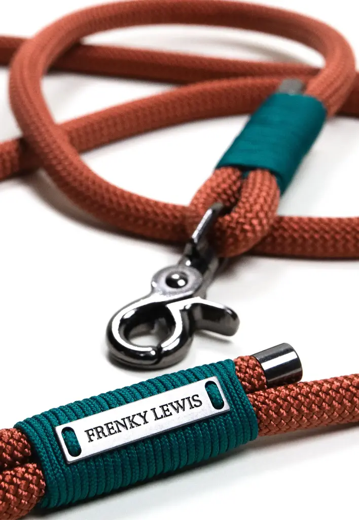 Dog leash - Abby green - Frenky Lewis